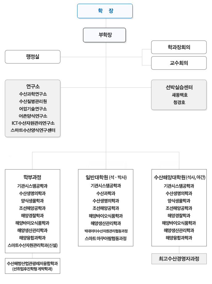 조직도
