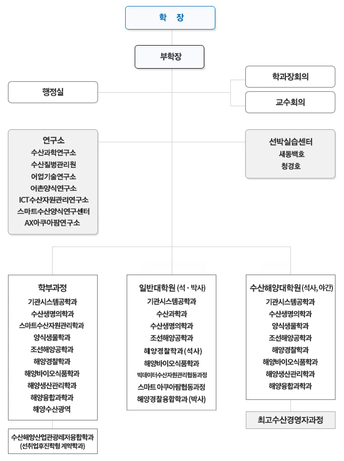조직도